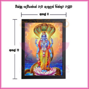 Vishnu also known as Narayana and Hari